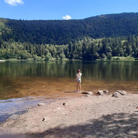 L'Ecrin Des Vosges Daire Gérardmer Dış mekan fotoğraf