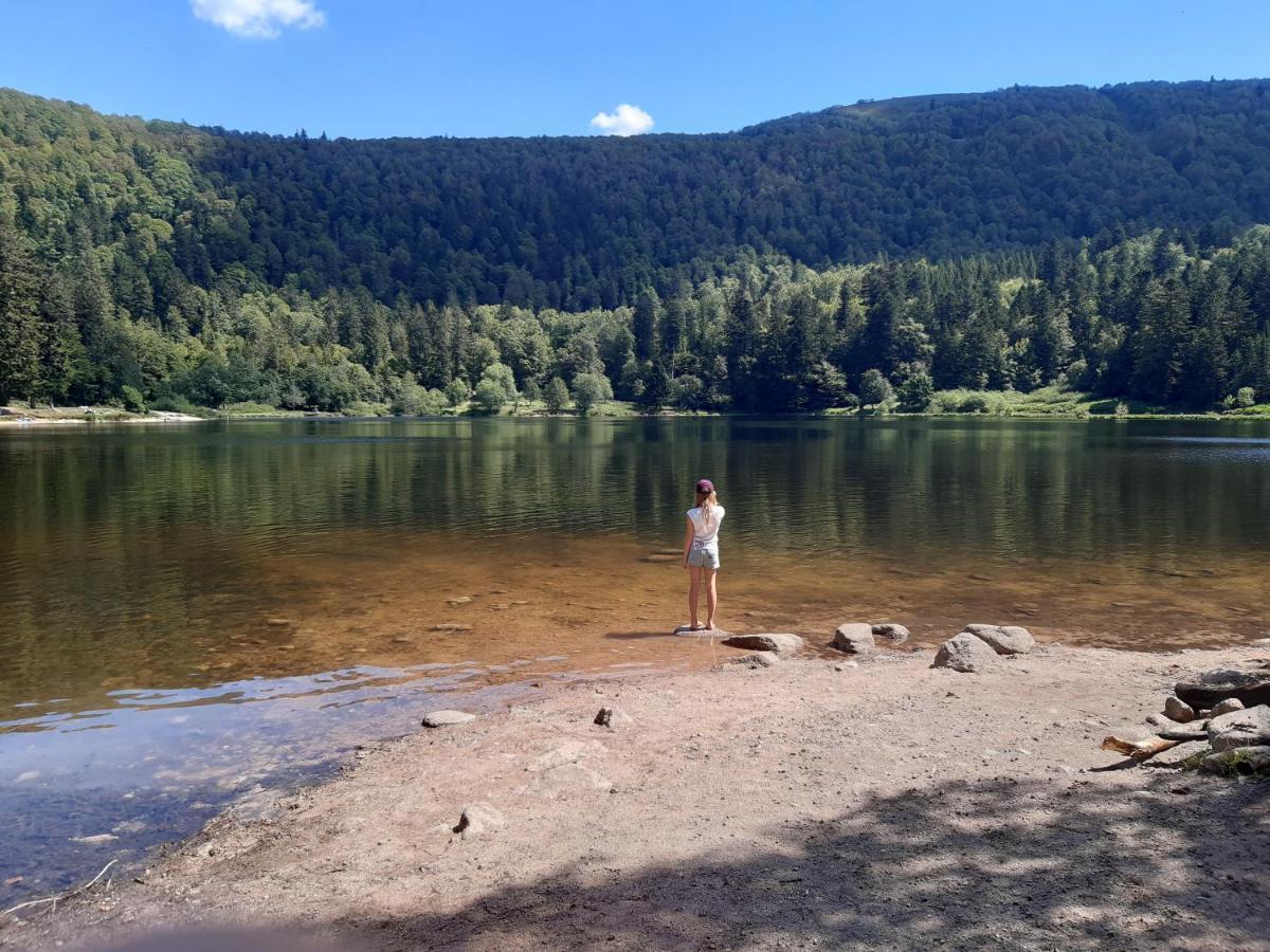 L'Ecrin Des Vosges Daire Gérardmer Dış mekan fotoğraf